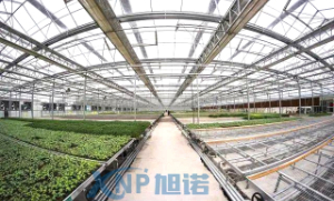 蔬菜温室大棚可以使用羞羞视频黄色网站做骨架吗？
